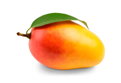 fruit