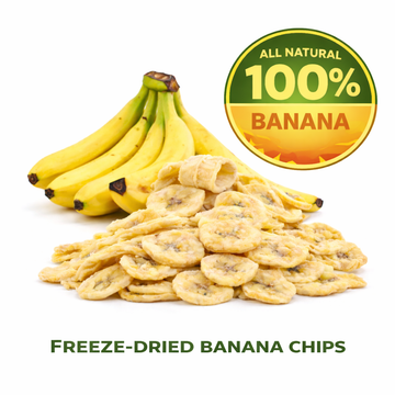 Freeze-Dried Banana Chips