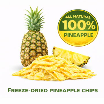 Freeze-Dried Pineapple Chips