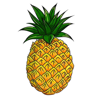 fruit