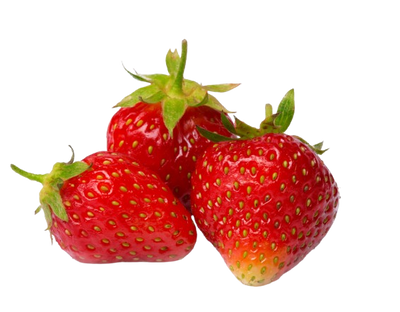 fruit